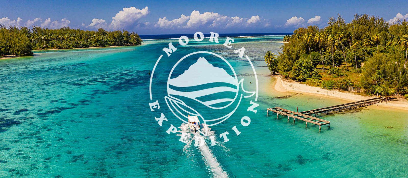 Moorea Expedition Whale Watching